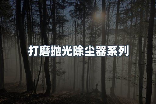 脉冲布袋除尘器