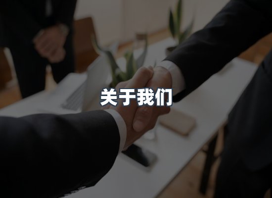 专业团队